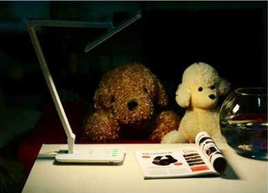 Cómo elegir la mejor Luz LED para escritorio